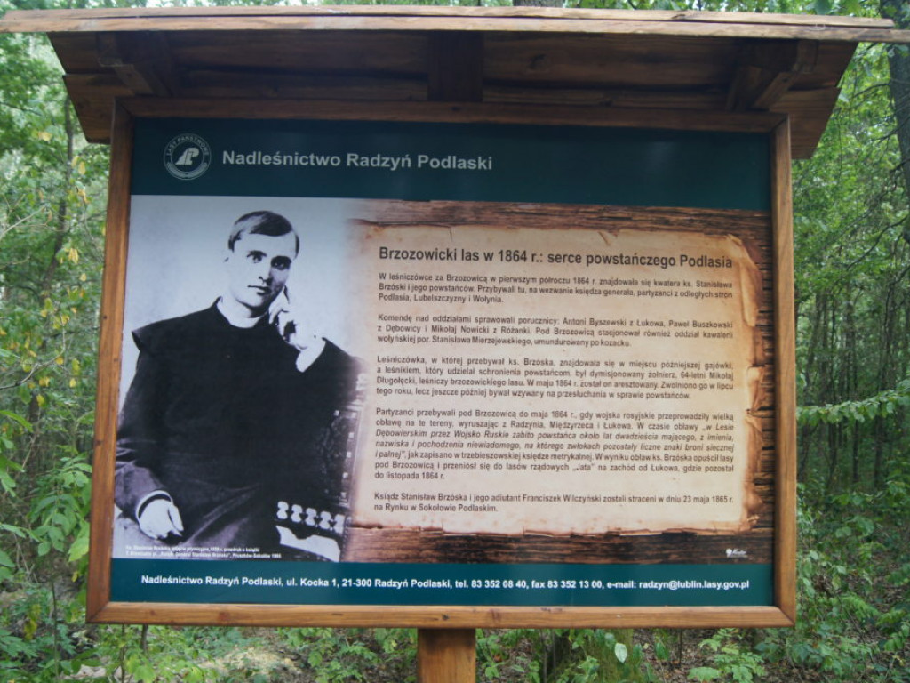 Brzozowica 1864 r. - serce powstańczego Podlasia