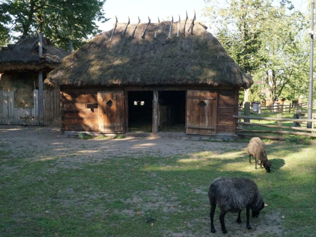 Muzeum Rolnictwa im. ks. Krzysztofa Kluka, cz. II