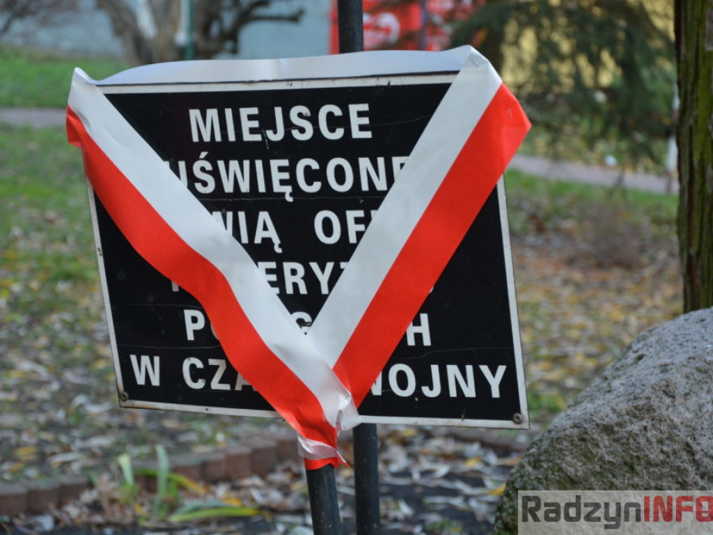 Biało-czerwony marsz 