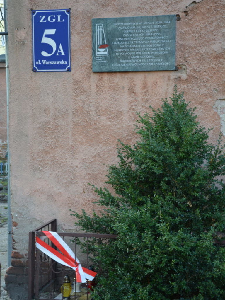 Biało-czerwony marsz 