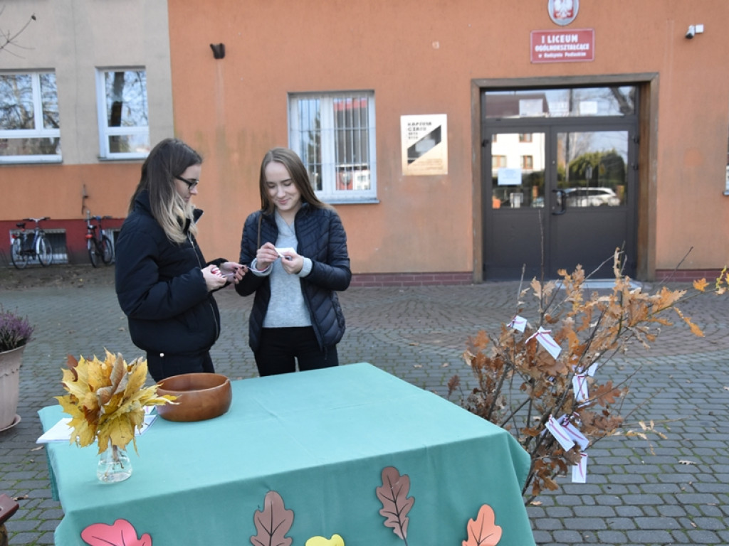 Święto Drzewa w I LO