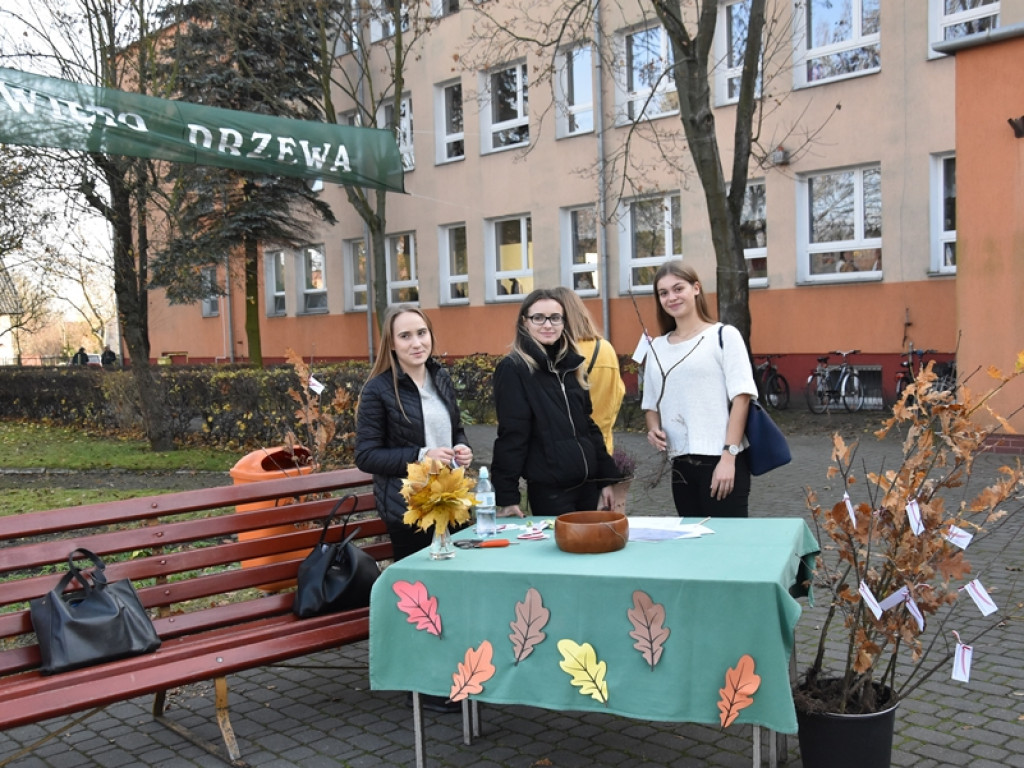 Święto Drzewa w I LO