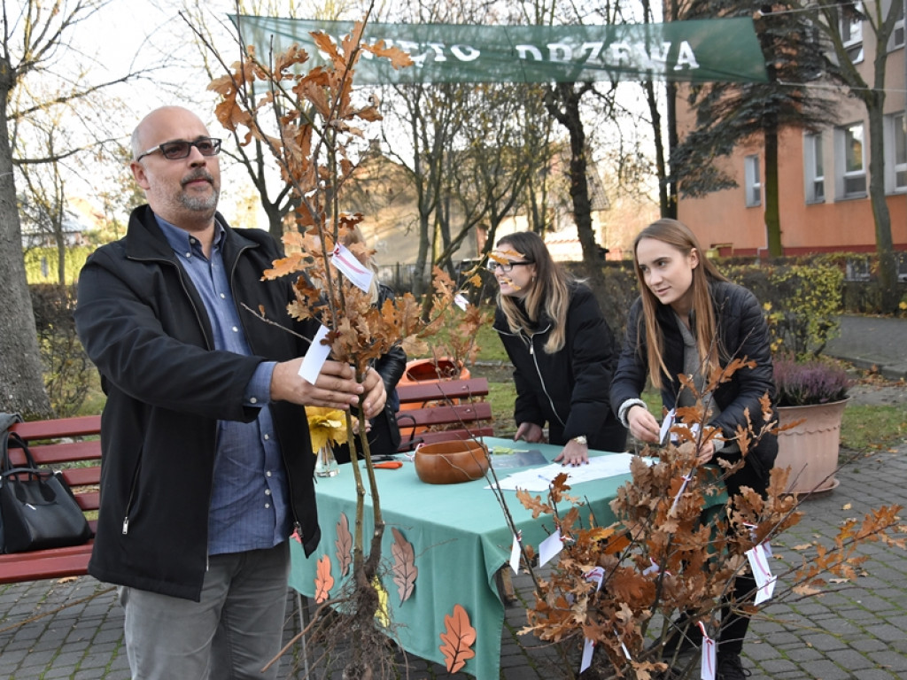 Święto Drzewa w I LO