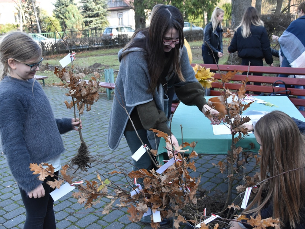 Święto Drzewa w I LO