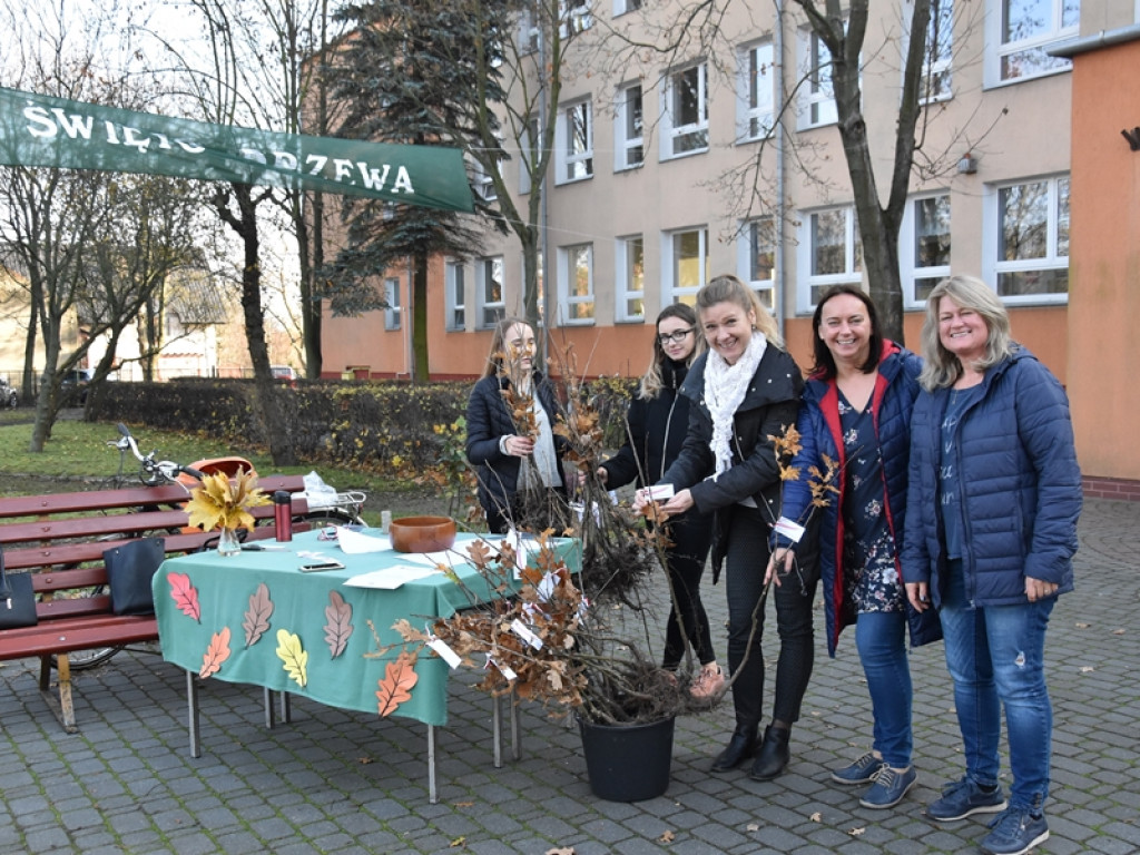 Święto Drzewa w I LO