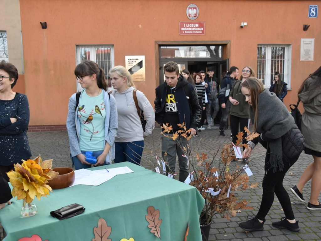 Święto Drzewa w I LO