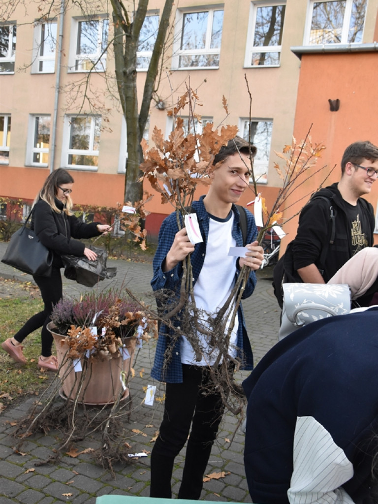 Święto Drzewa w I LO