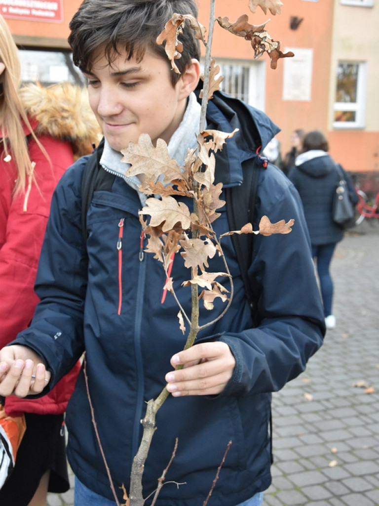 Święto Drzewa w I LO