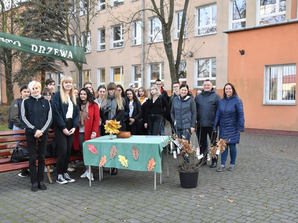 Święto Drzewa w I LO