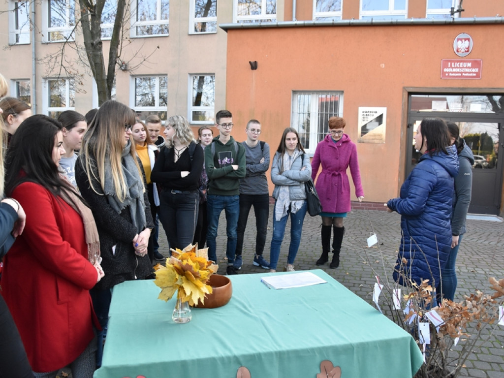 Święto Drzewa w I LO