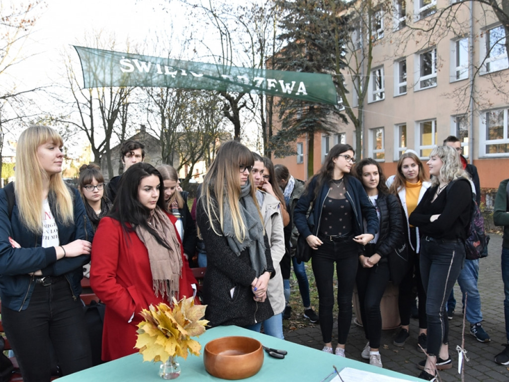 Święto Drzewa w I LO