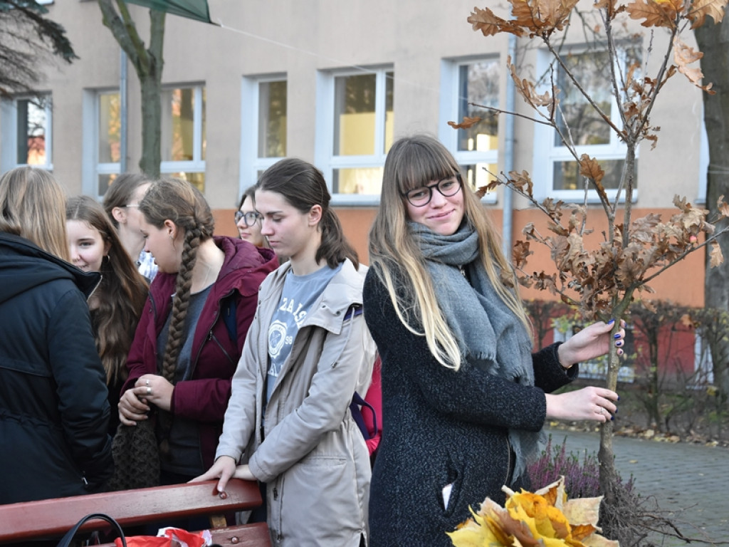 Święto Drzewa w I LO