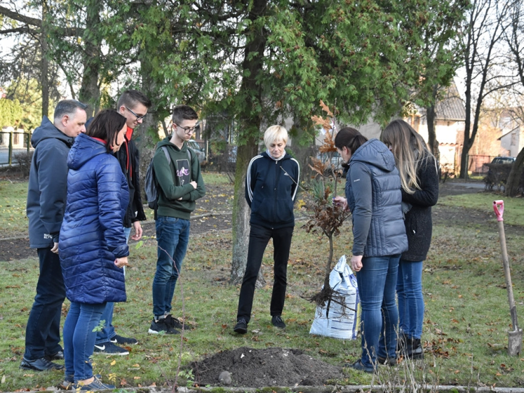 Święto Drzewa w I LO