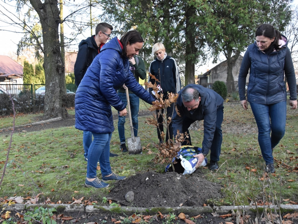 Święto Drzewa w I LO