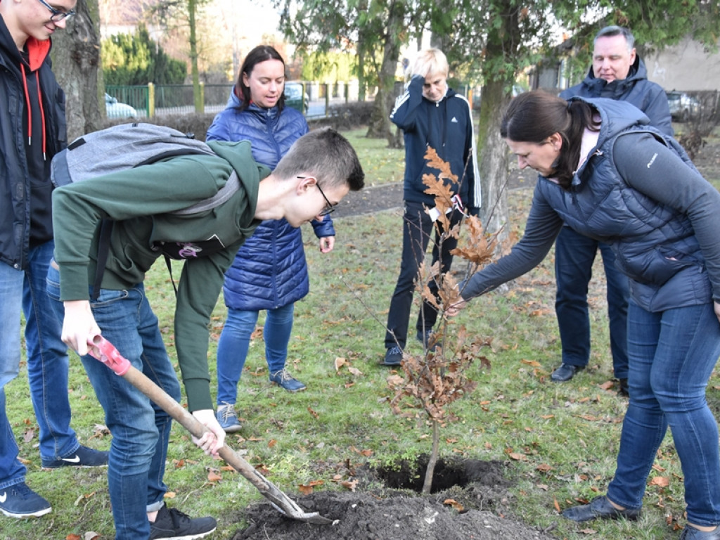 Święto Drzewa w I LO