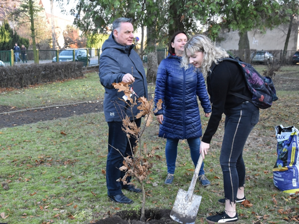 Święto Drzewa w I LO