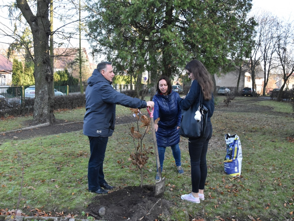 Święto Drzewa w I LO