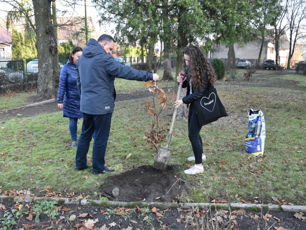 Święto Drzewa w I LO