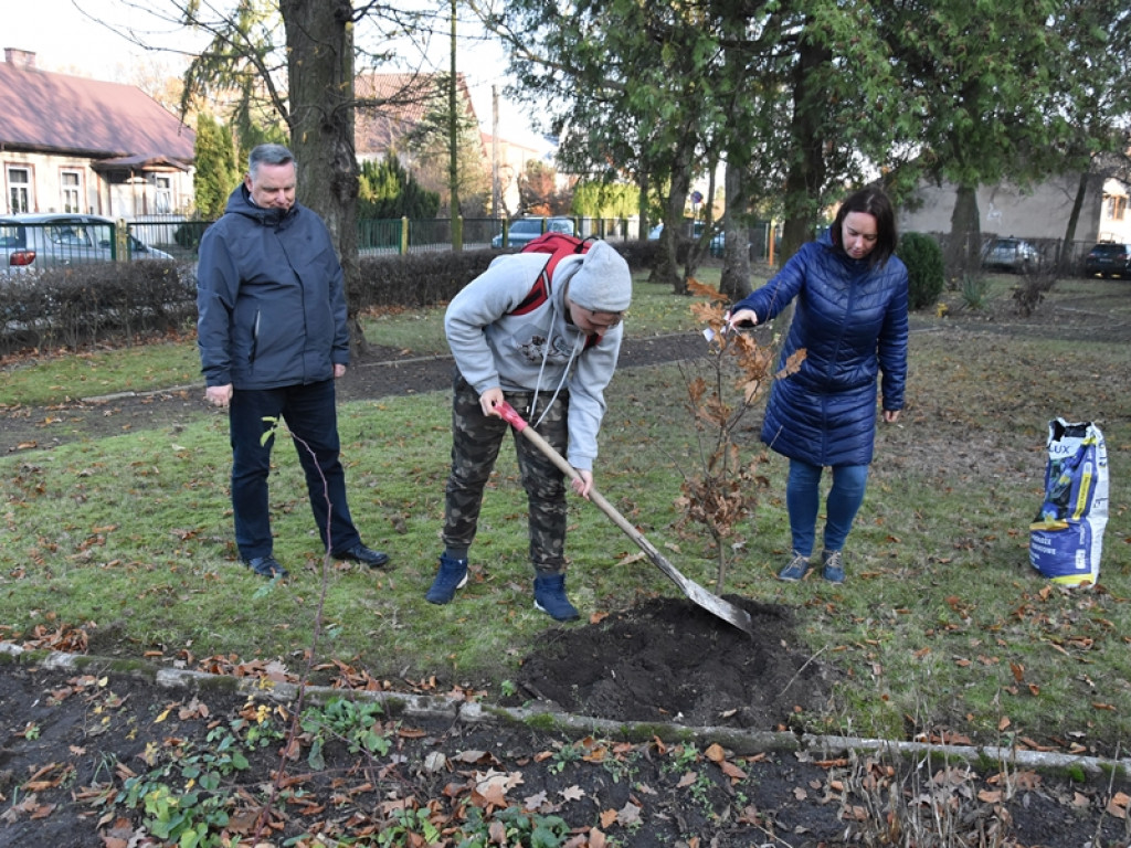 Święto Drzewa w I LO