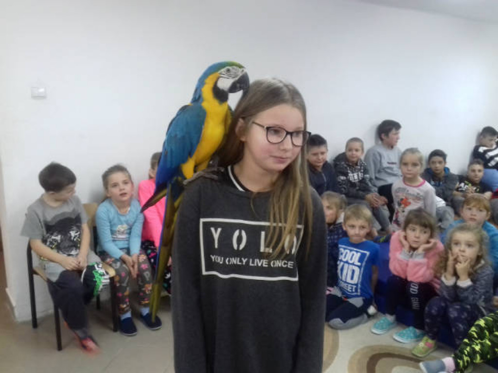 Ara i Kiki w szkole, czyli spotkanie z papugami