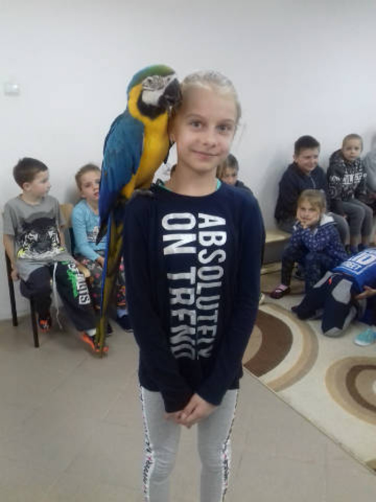 Ara i Kiki w szkole, czyli spotkanie z papugami