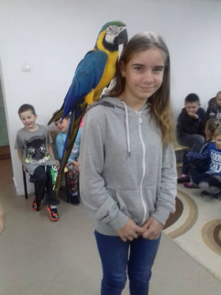 Ara i Kiki w szkole, czyli spotkanie z papugami