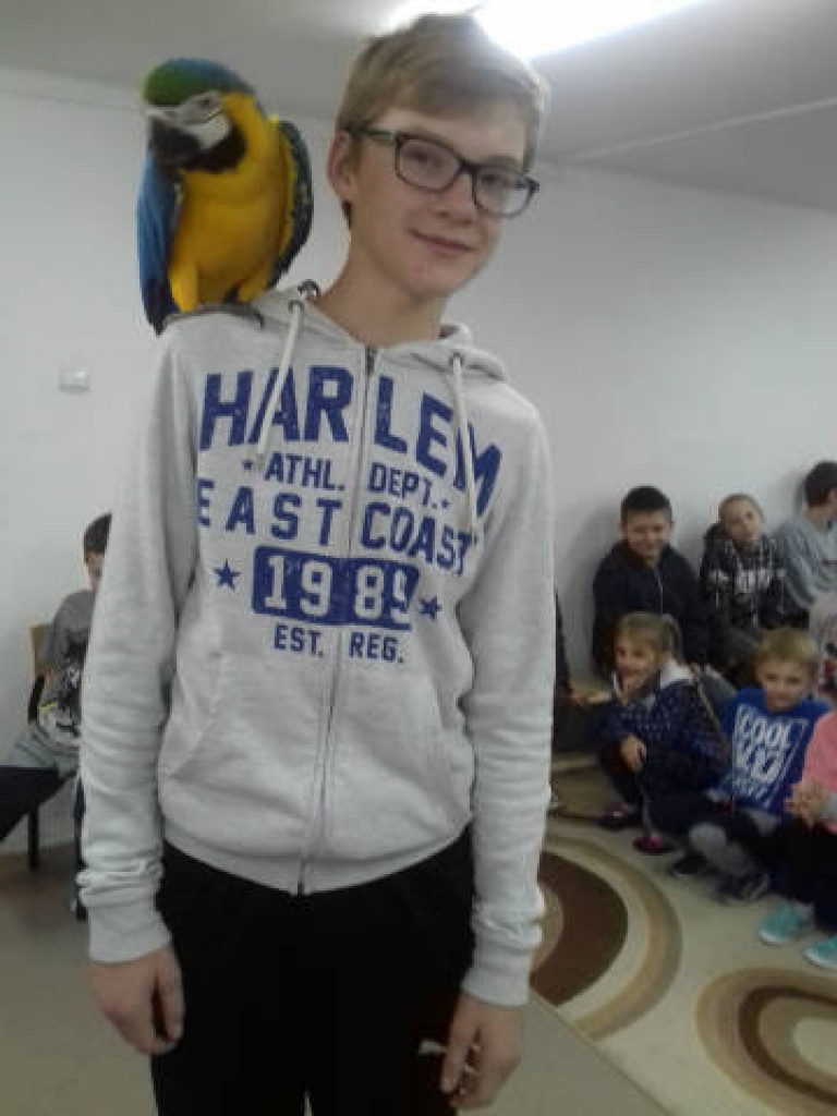 Ara i Kiki w szkole, czyli spotkanie z papugami