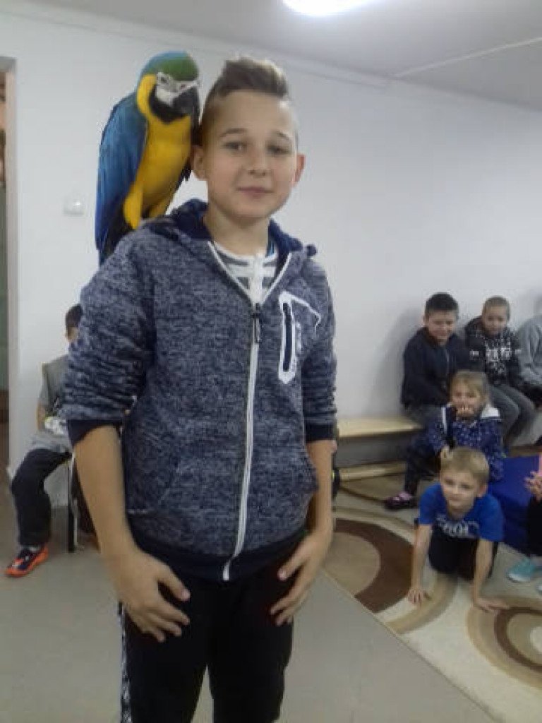 Ara i Kiki w szkole, czyli spotkanie z papugami