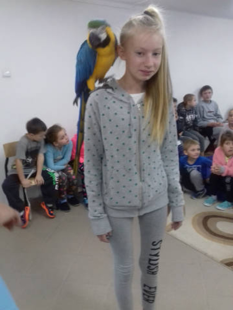 Ara i Kiki w szkole, czyli spotkanie z papugami