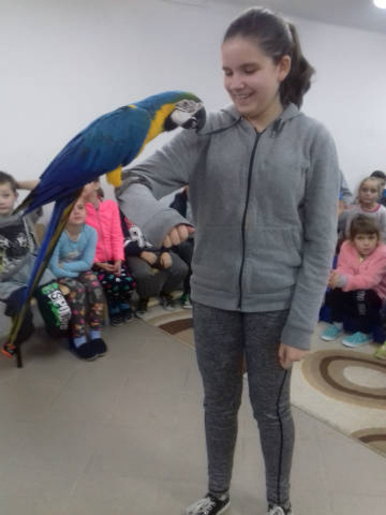 Ara i Kiki w szkole, czyli spotkanie z papugami