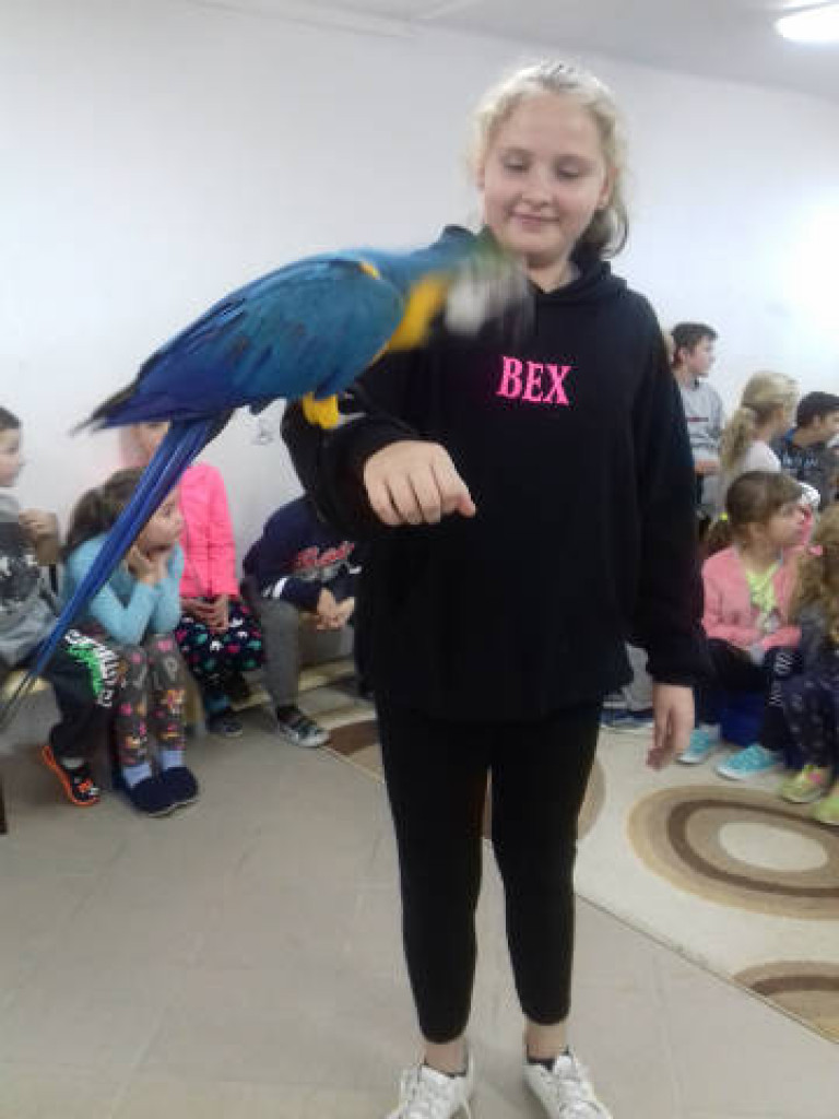 Ara i Kiki w szkole, czyli spotkanie z papugami