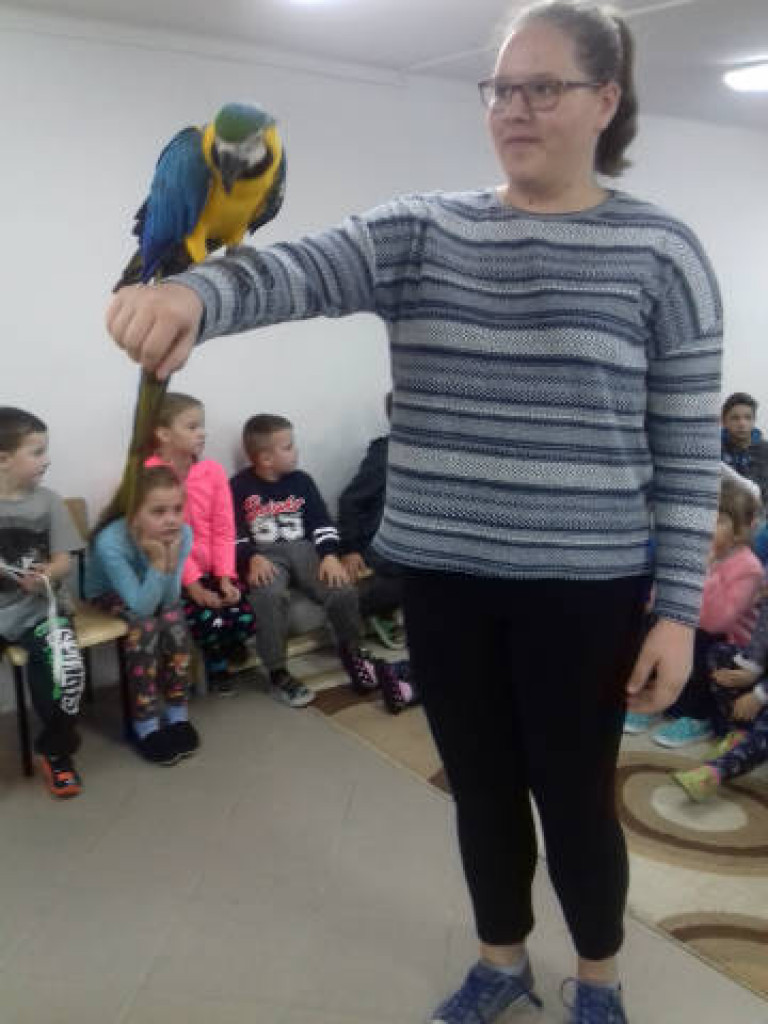 Ara i Kiki w szkole, czyli spotkanie z papugami