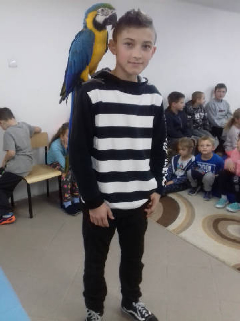 Ara i Kiki w szkole, czyli spotkanie z papugami