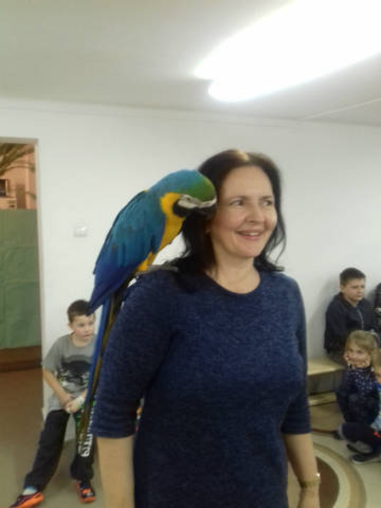 Ara i Kiki w szkole, czyli spotkanie z papugami