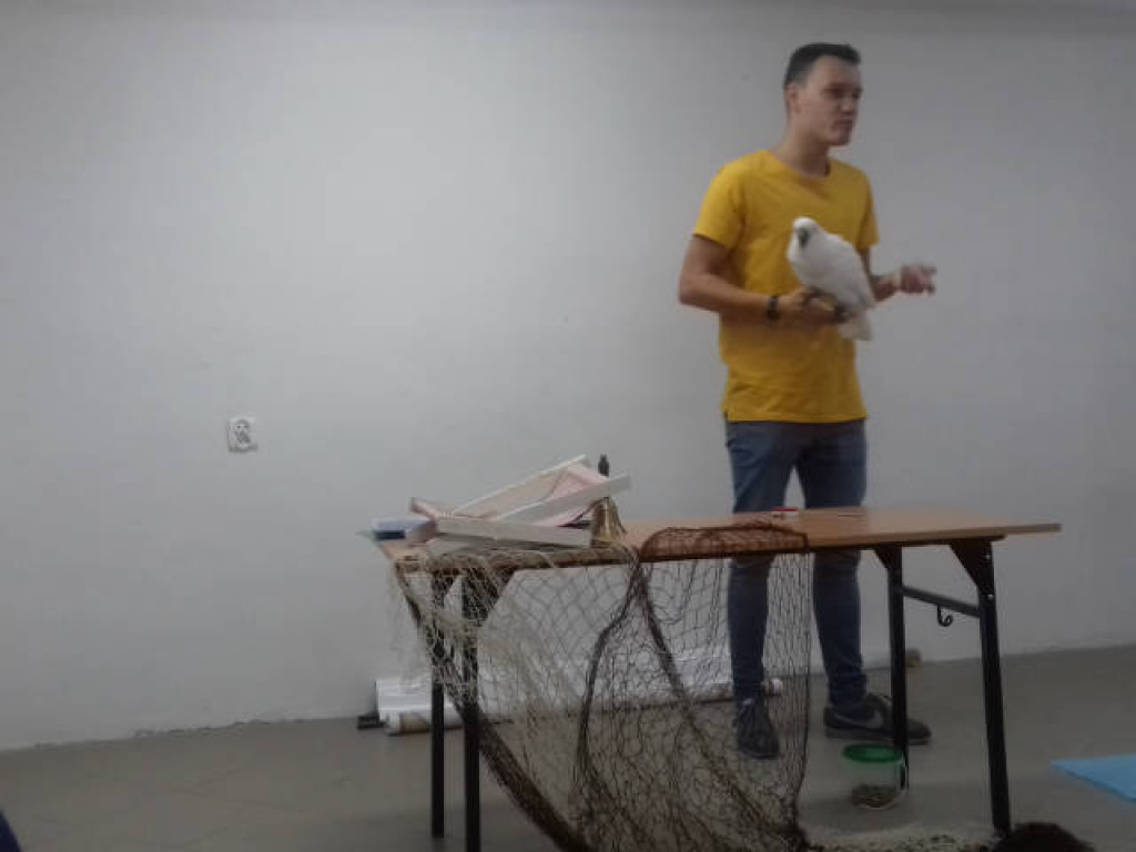 Ara i Kiki w szkole, czyli spotkanie z papugami