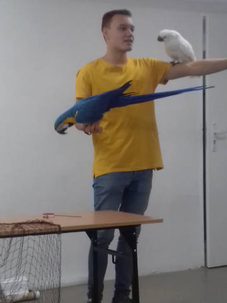 Ara i Kiki w szkole, czyli spotkanie z papugami