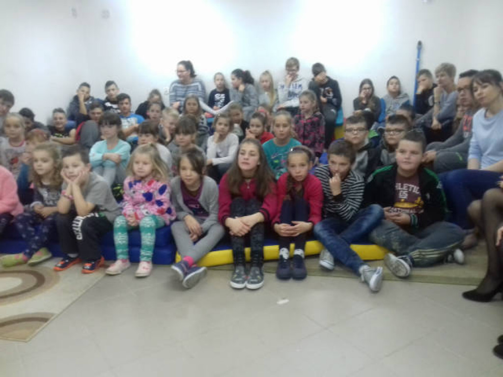 Ara i Kiki w szkole, czyli spotkanie z papugami