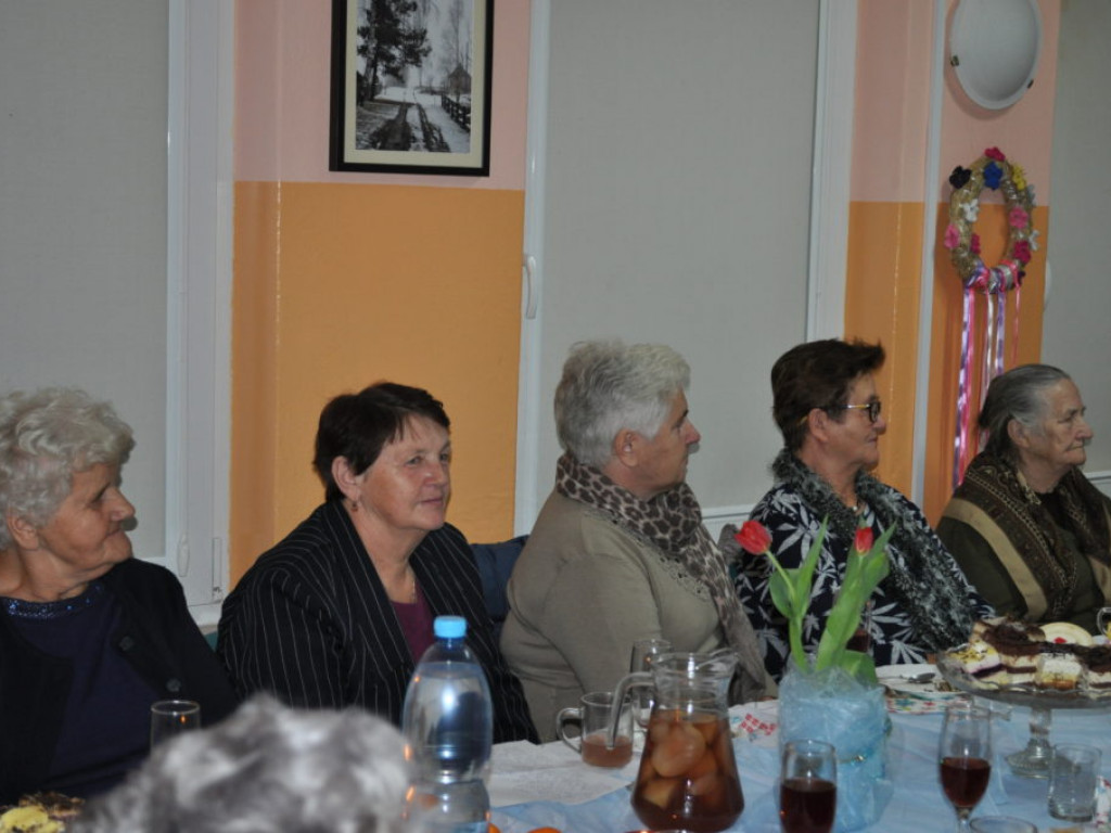 Dzień Seniora w Brzostówcu