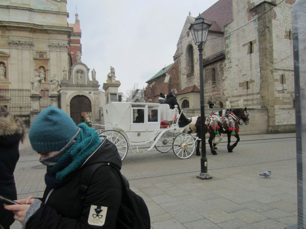 Kraków i Niepodległa z Gimnazjum nr 1