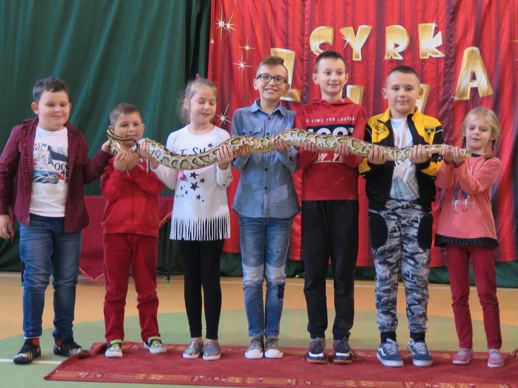 Mikołajkowe niespodzianki w Szkole Podstawowej w Domaszewnicy