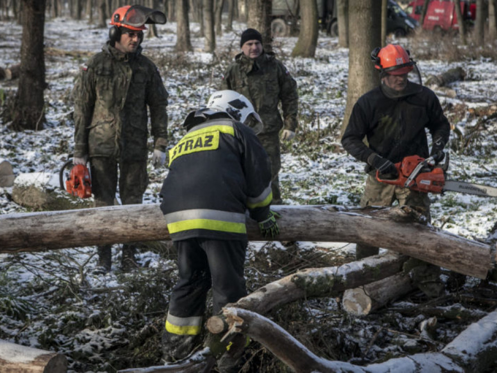 Terytorialsi szkolą się ze strażakami
