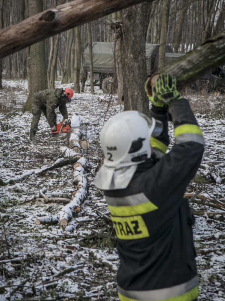 Terytorialsi szkolą się ze strażakami