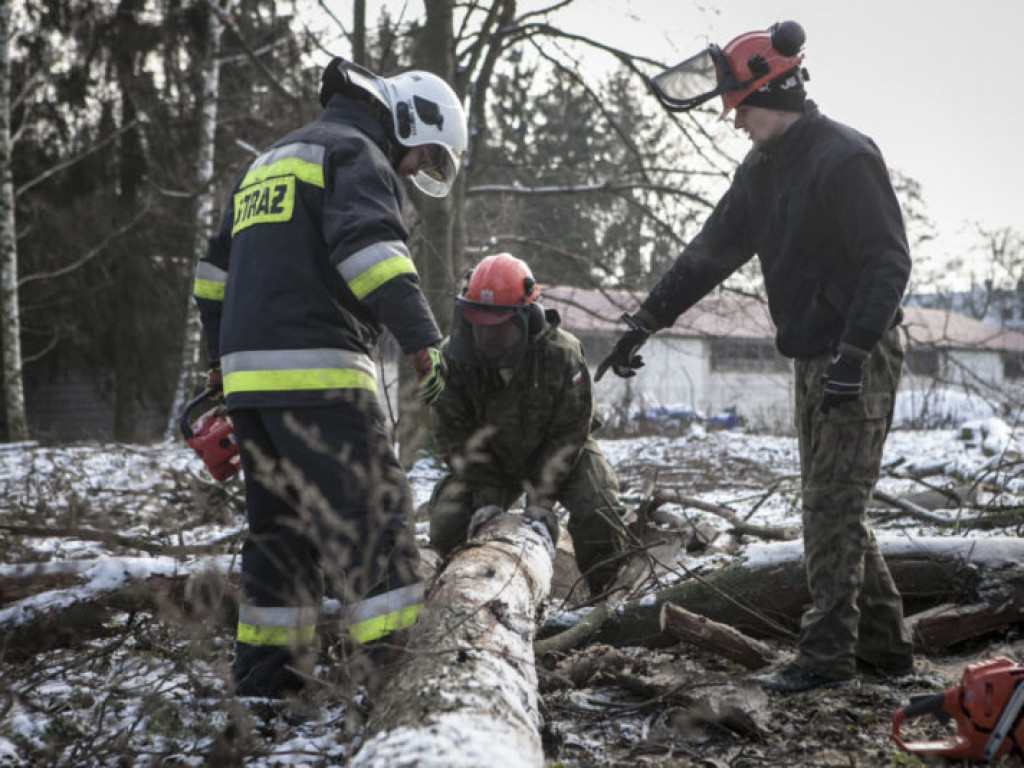 Terytorialsi szkolą się ze strażakami