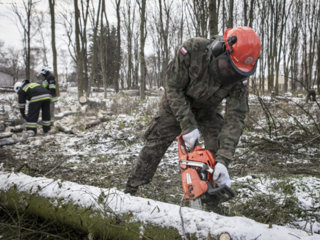 Terytorialsi szkolą się ze strażakami