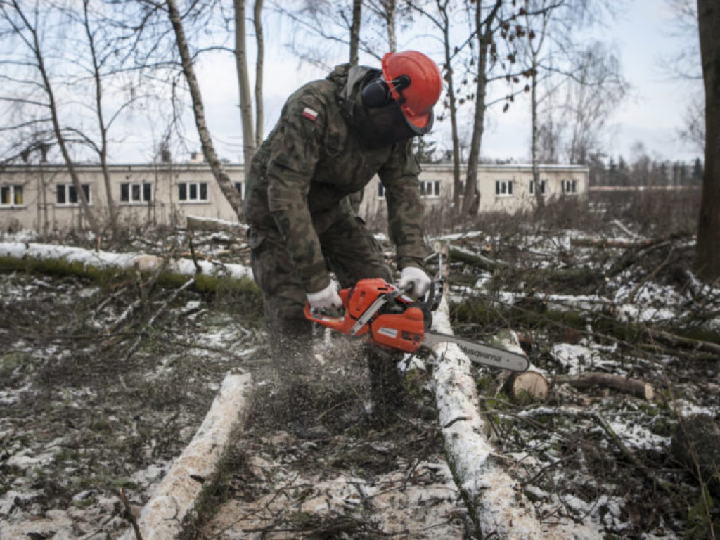 Terytorialsi szkolą się ze strażakami