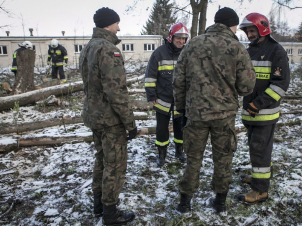 Terytorialsi szkolą się ze strażakami