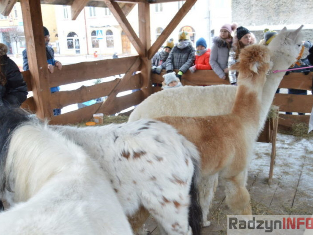 Mędrcy przybyli do Dzieciątka