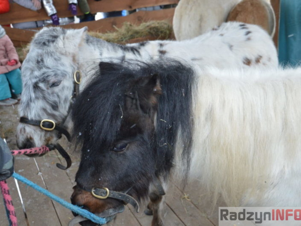 Mędrcy przybyli do Dzieciątka