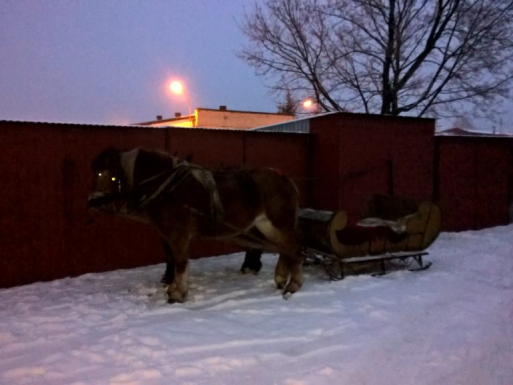 Spotkanie mikołajkowe Fundacji 
