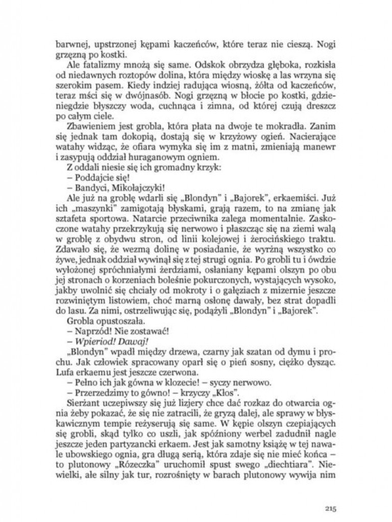 Jan Kołkowicz, cz. XVII